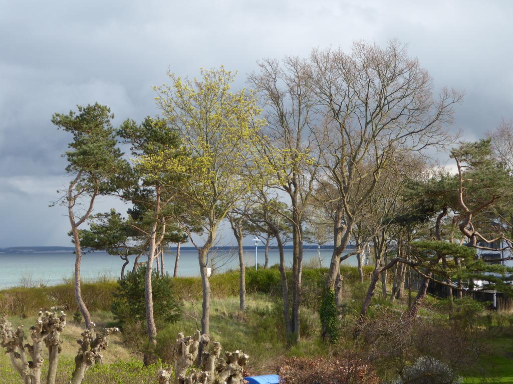 Strandhuhn Juliusruh Exterior foto